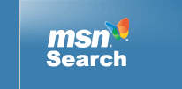 Searching MSN